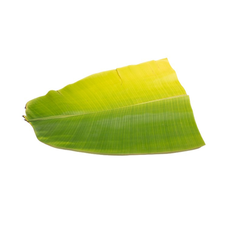 Banana Leaves
